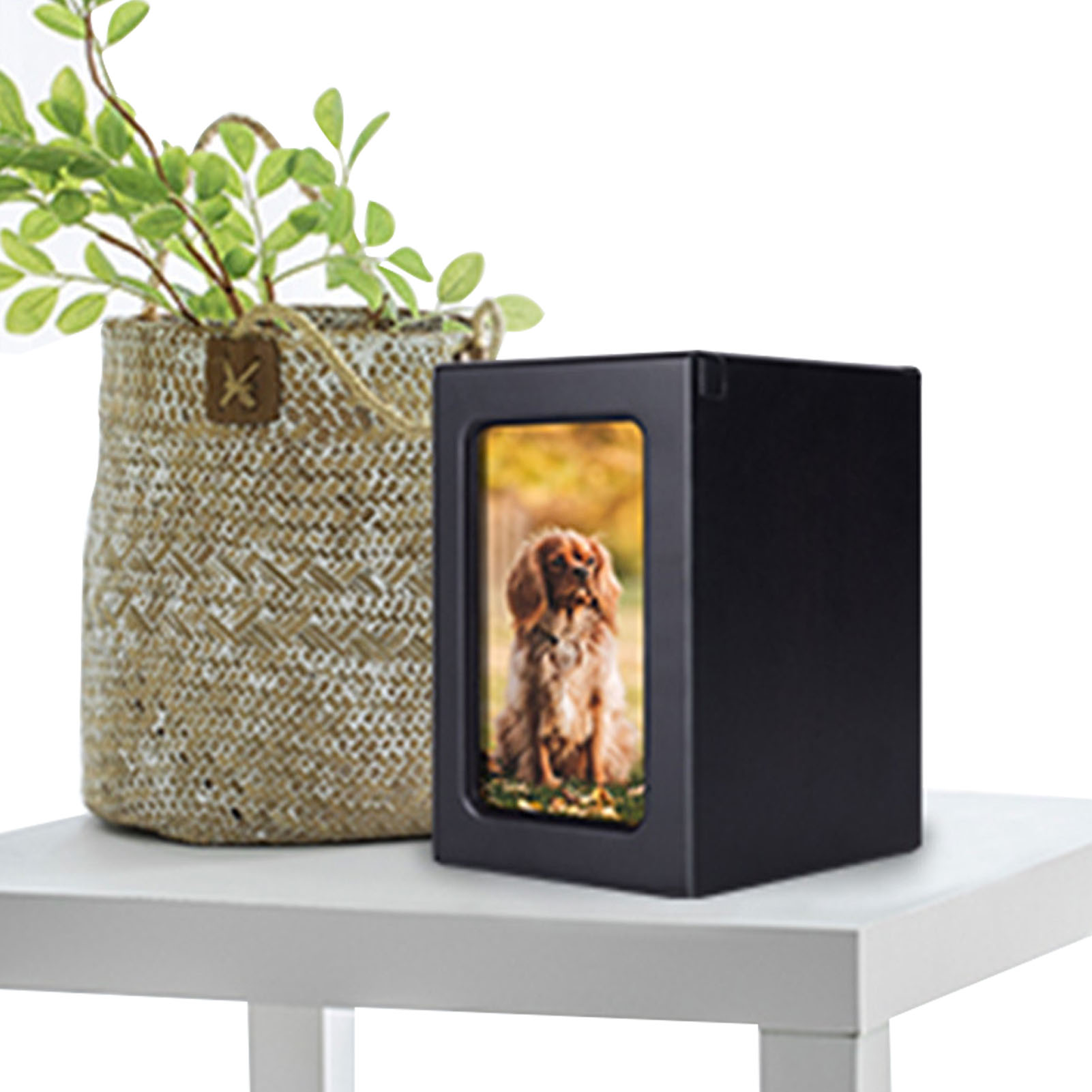 Engraved Wood Frame - Wooden Pet Urns Wooden Cremation Box