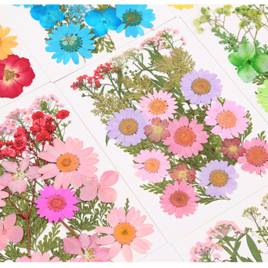 Un-dyed Natural Pressed Dried  - Dried Flower Bookmark reseña y precio