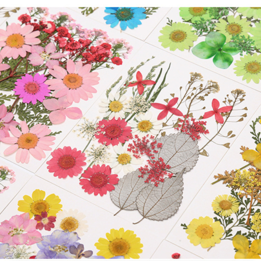 Un-dyed Natural Pressed Dried  - Dried Flower Bookmark reseña y precio