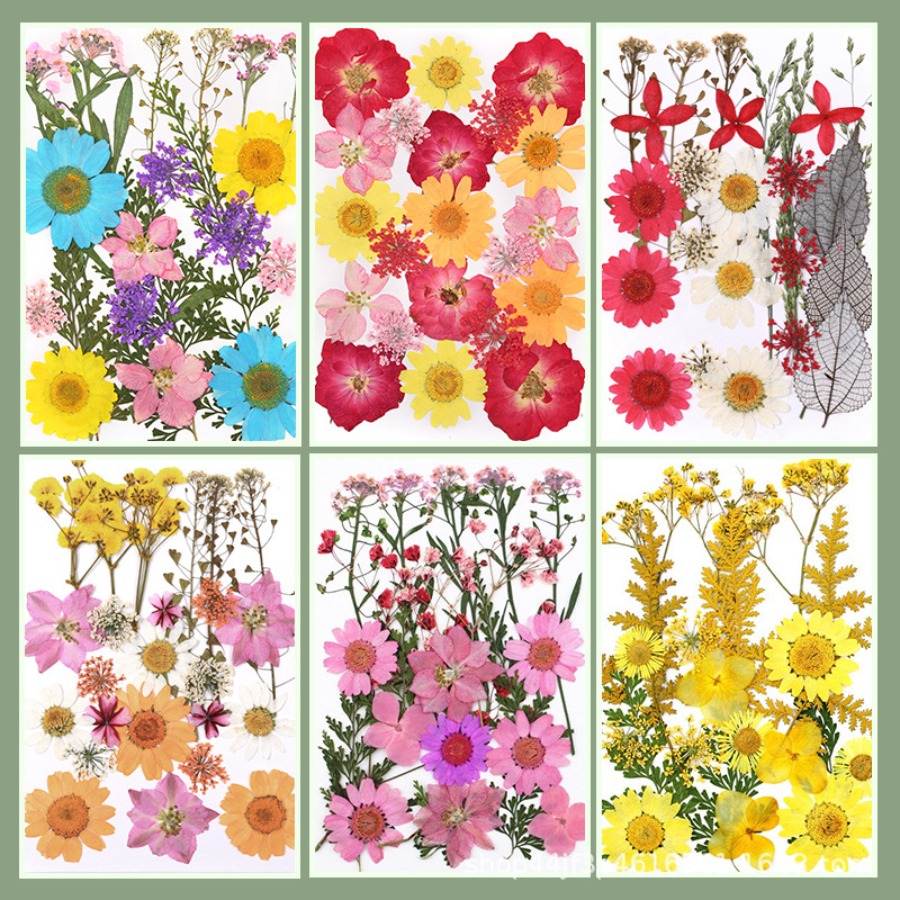 Un-dyed Natural Pressed Dried  - Dried Flower Bookmark reseña y precio