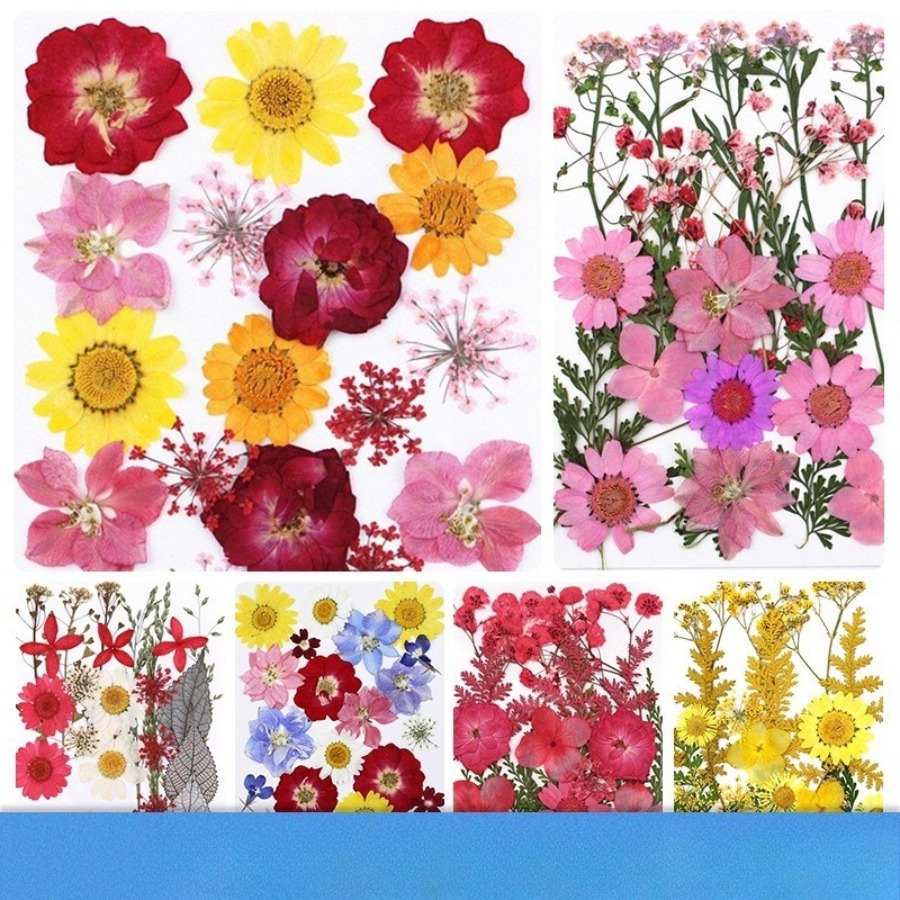Un-dyed Natural Pressed Dried  - Dried Flower Bookmark reseña y precio