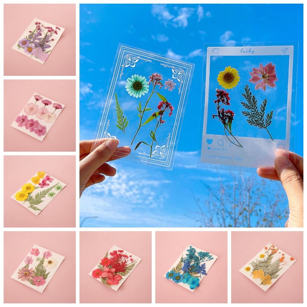 DIY Materials DIY Dried Flower - Dried Flower Bookmark reseña y precio