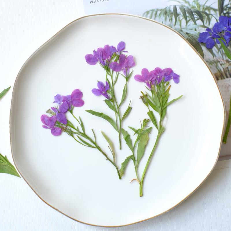 6pcs/8-13cm,nature Lobelia Eri - Dried Flower Bookmark reseña y precio