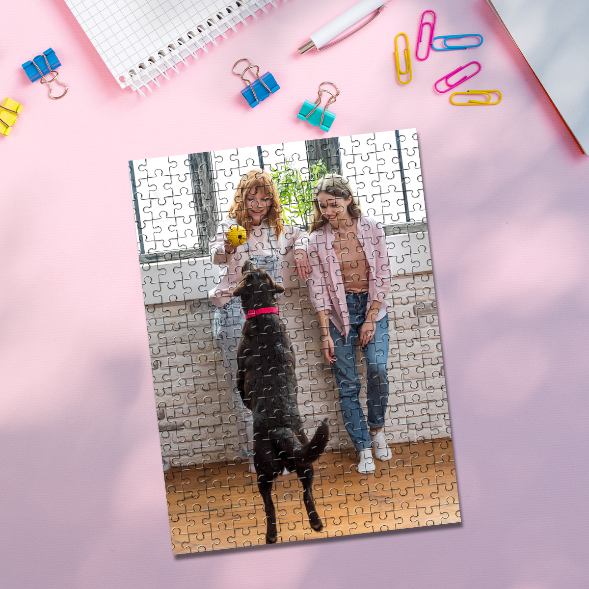35/150/300/500/1000pcs Persona - Pet Portrait Custom reseña y precio
