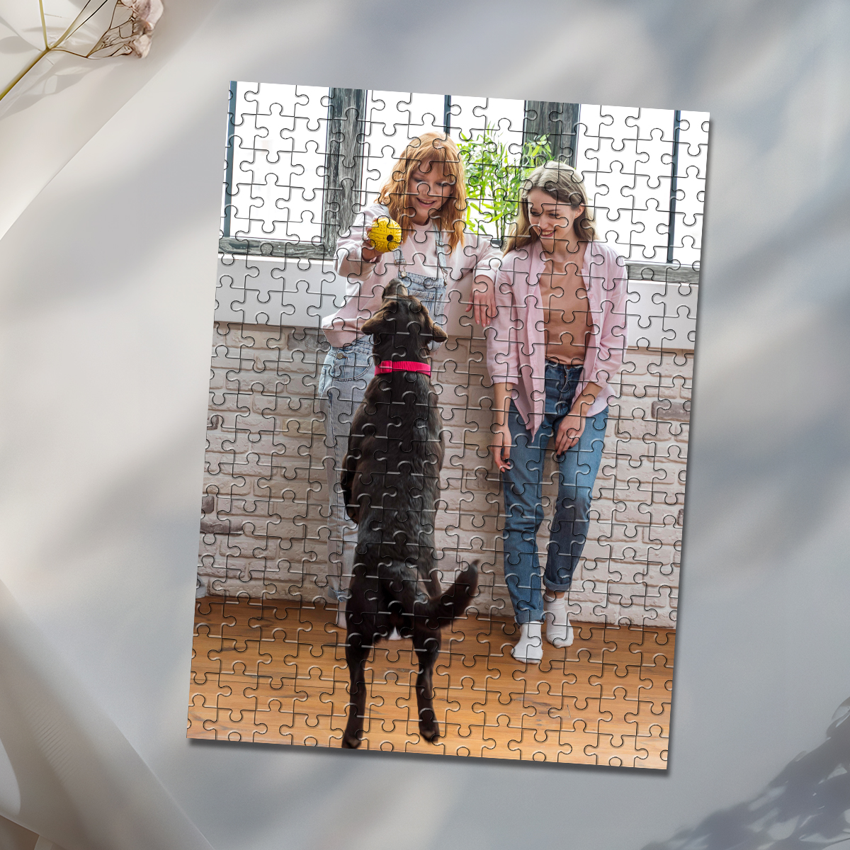 35/150/300/500/1000pcs Persona - Pet Portrait Custom reseña y precio
