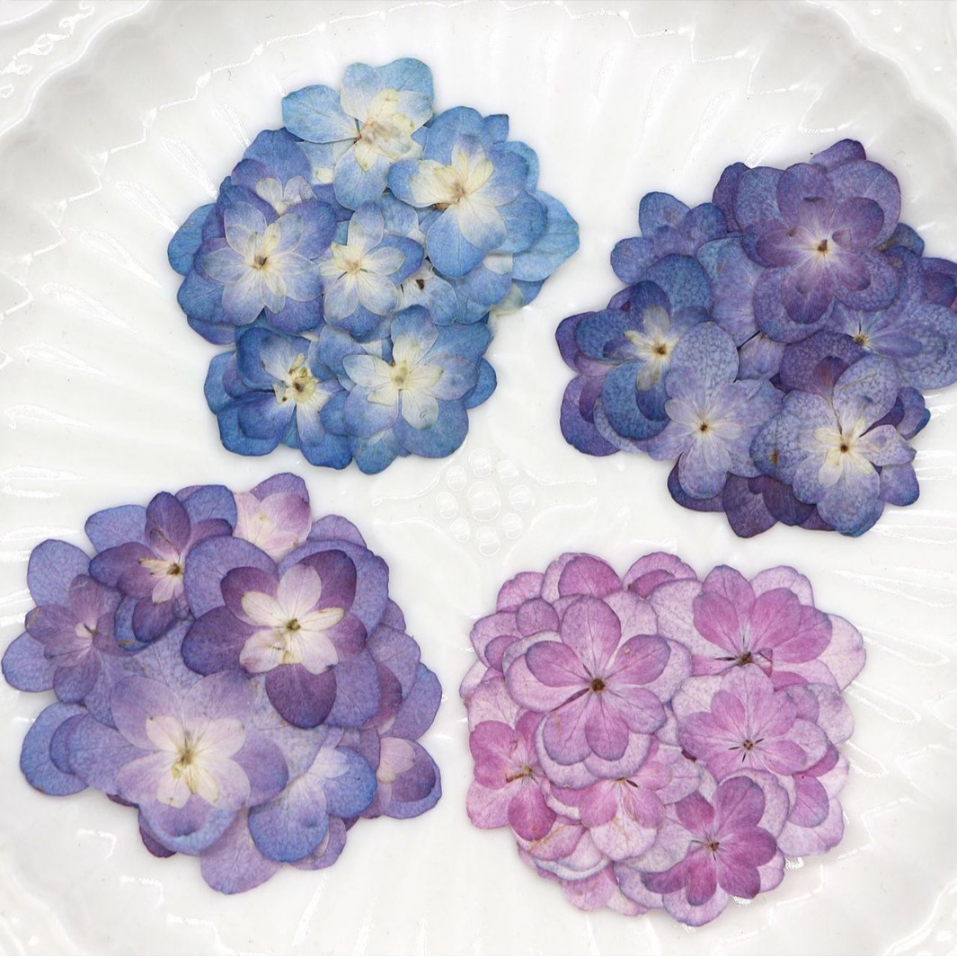 60Pcs Mini Double-Flowered Hyd - Dried Flower Bookmark reseña y precio