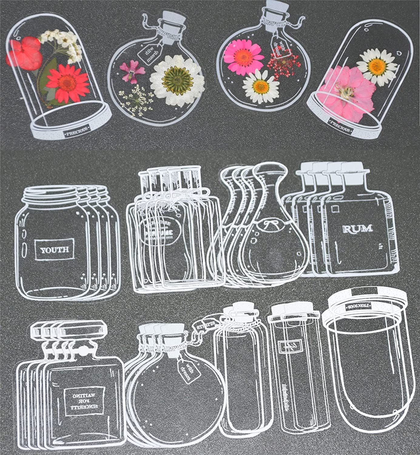 30Pcs Transparent Dried Flower - Dried Flower Bookmark reseña y precio