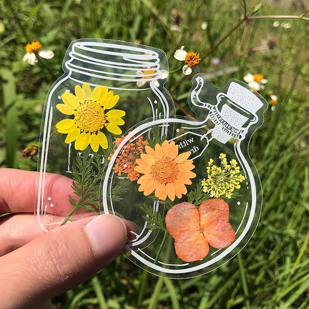 30Pcs Transparent Dried Flower - Dried Flower Bookmark reseña y precio