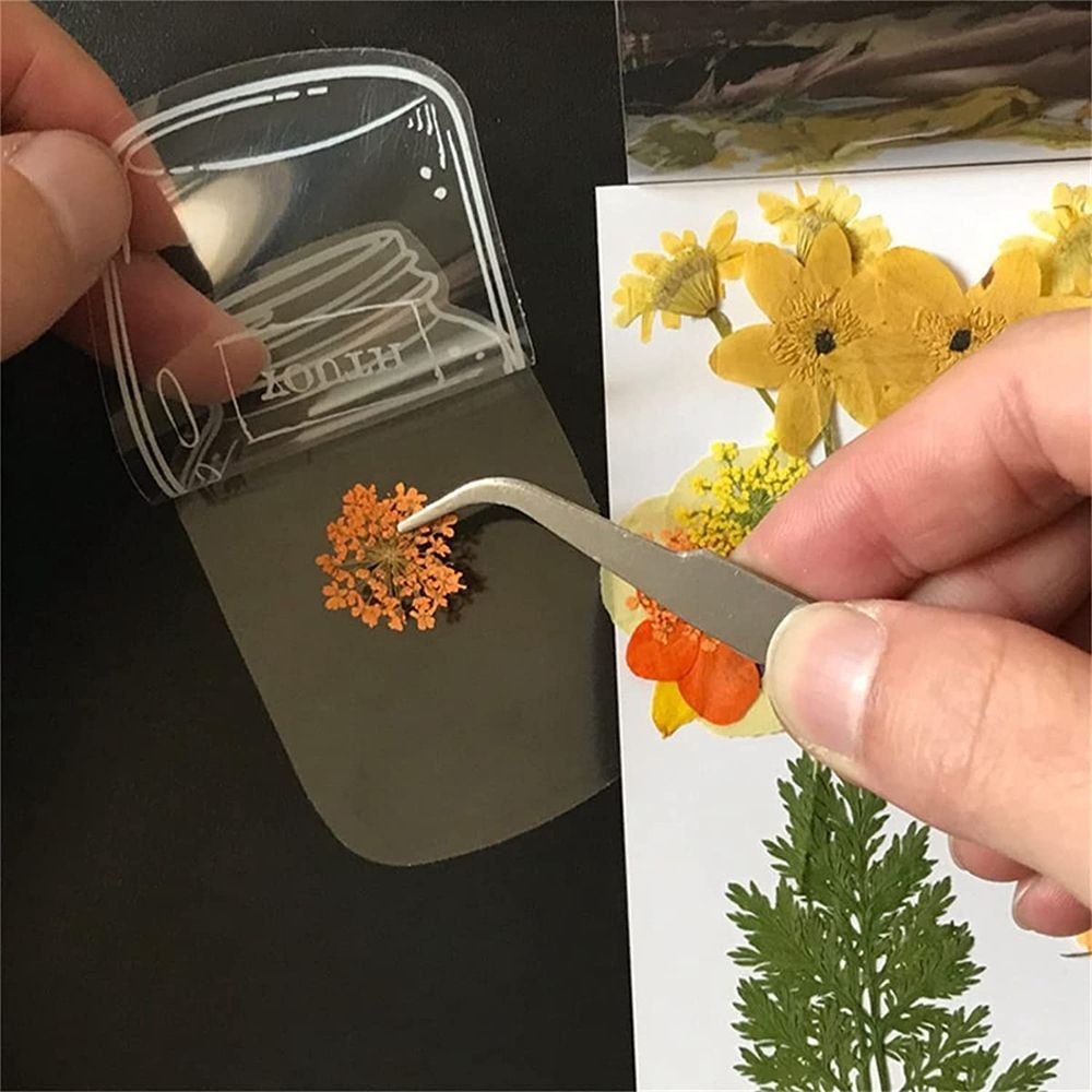 30Pcs Transparent Dried Flower - Dried Flower Bookmark reseña y precio