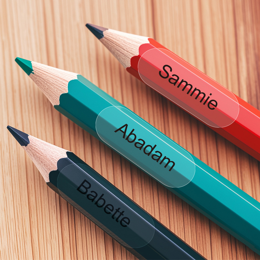 ‌Custom Clear Name Tags for Sc - Personalized Name Box reseña y precio